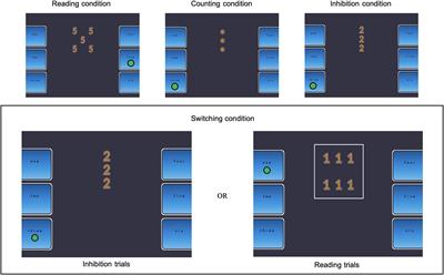 Assessment of the Relationship Between Executive Function and Cardiorespiratory Fitness in Healthy Older Adults